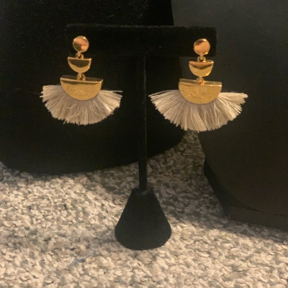 Fossil Earrings